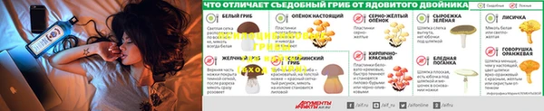 мдпв Богданович
