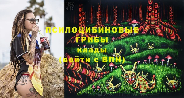 a pvp Белокуриха