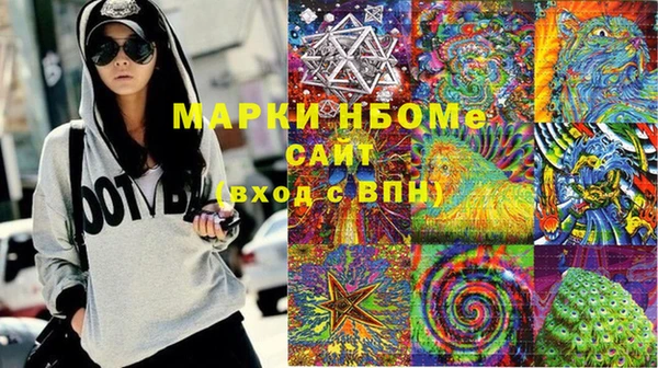прущие грибы Баксан