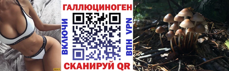 Галлюциногенные грибы мицелий  Купить закладки  Могоча 